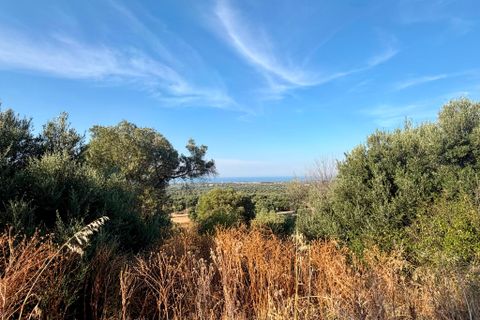 Landejendom i Cisternino, Brindisi, Cisternino - € 1.111.111 | Ref: 381 - foto 47